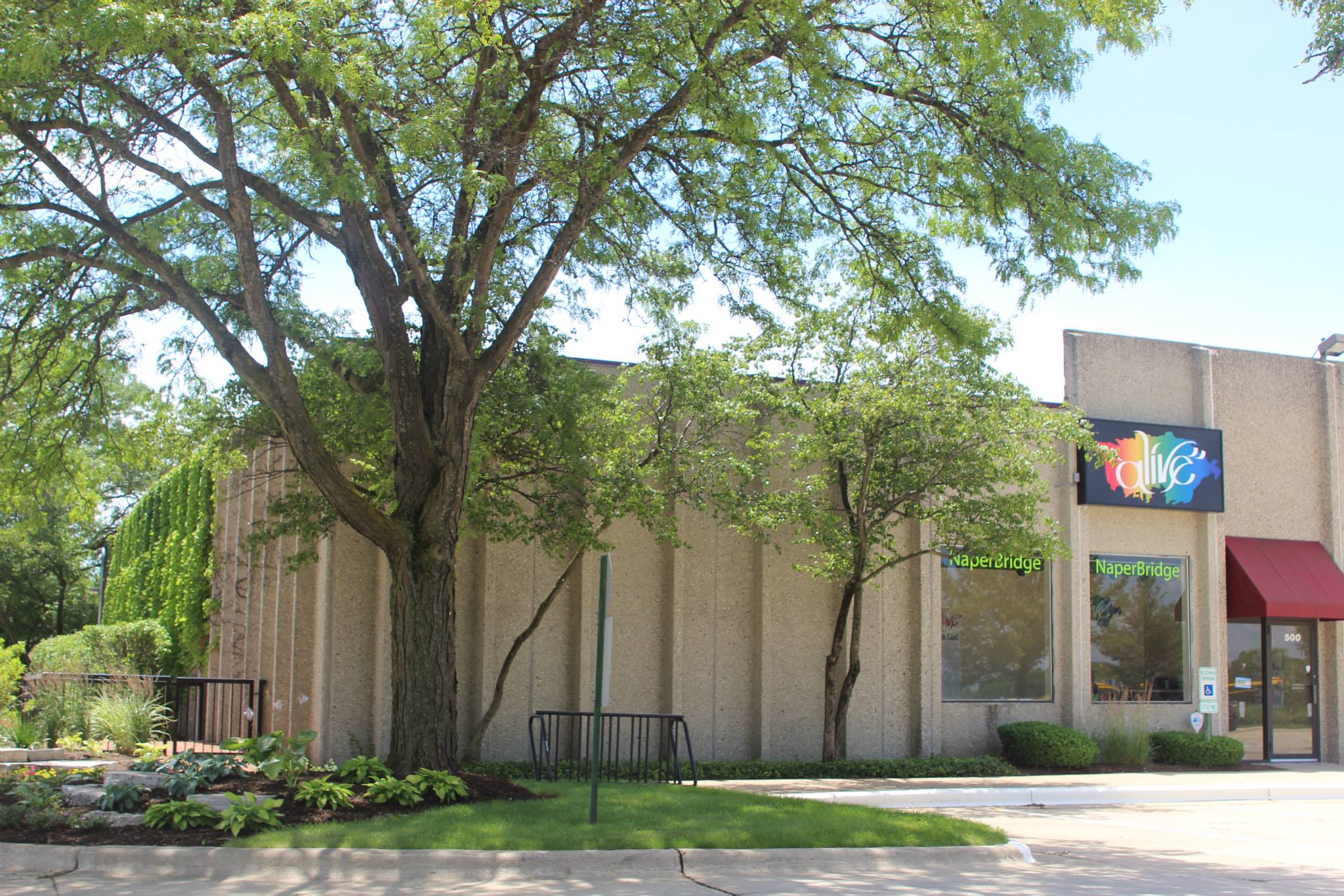 New Mentor Program at Alive Alive Center Naperville & Aurora