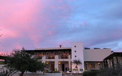 You Never Know – The Art of Staying Open